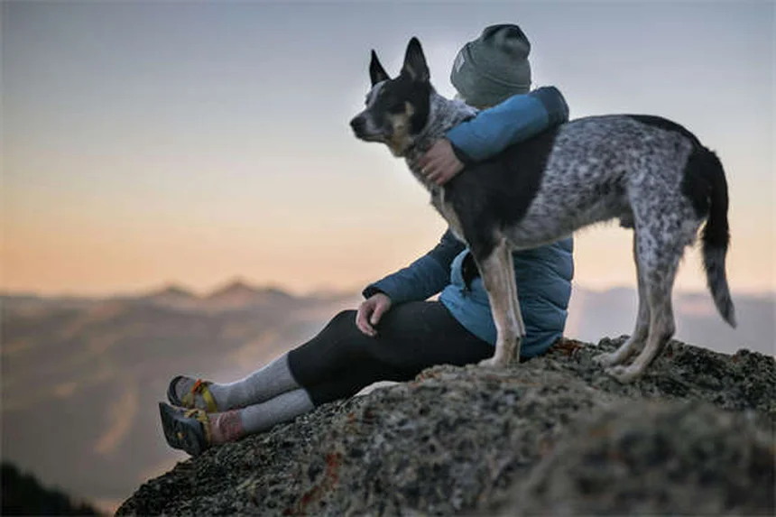 À quelle fréquence laver son chien ? Le guide complet par un pro